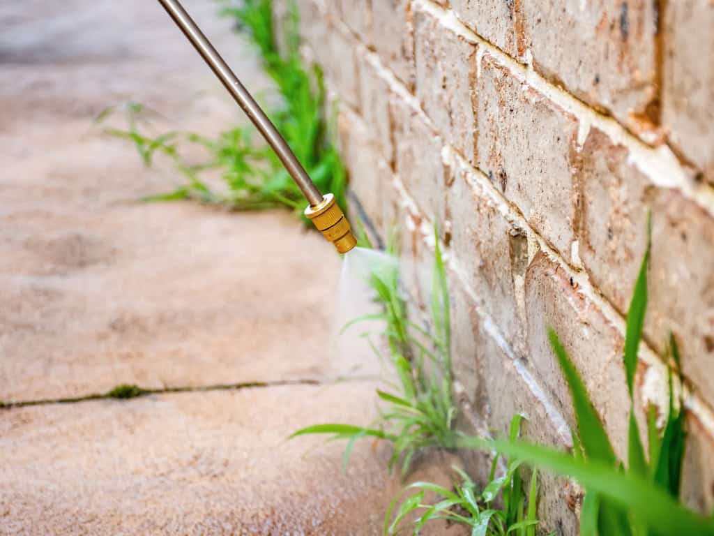 Jak zvítězit nad plevelem?