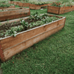 Jak si vyrobit vyvýšený záhon: návod + vybavení, které se vám bude hodit